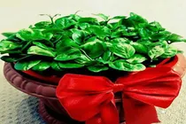 سبزه نارنج سین سبز سفره هفت‌سین