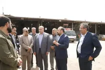 فرصت یک‌ماهه فرماندار برای ساماندهی میدان میوه و تره‌بار خرم‌آباد