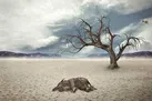 خطر انقراض ششم برای نسل بشر