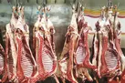سود ۱۰۰ درصدی دلالان از بازار گوشت قرمز