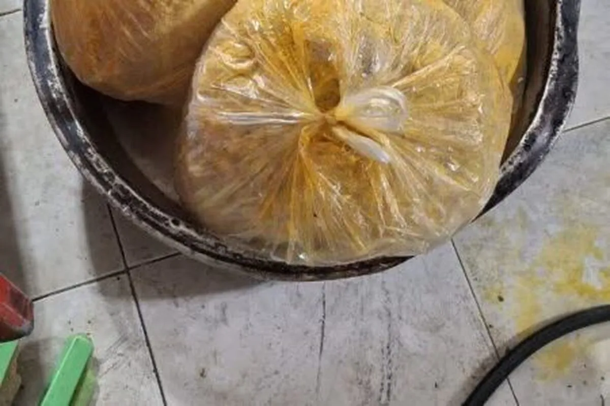 کشف گوشت فاسد در رستوران پر مشتری شهر همدان 