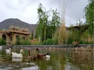 خانه مسافرهای غیرمجاز بلای جان اقامتگاه‌های بوم‌گردی شده‌اند