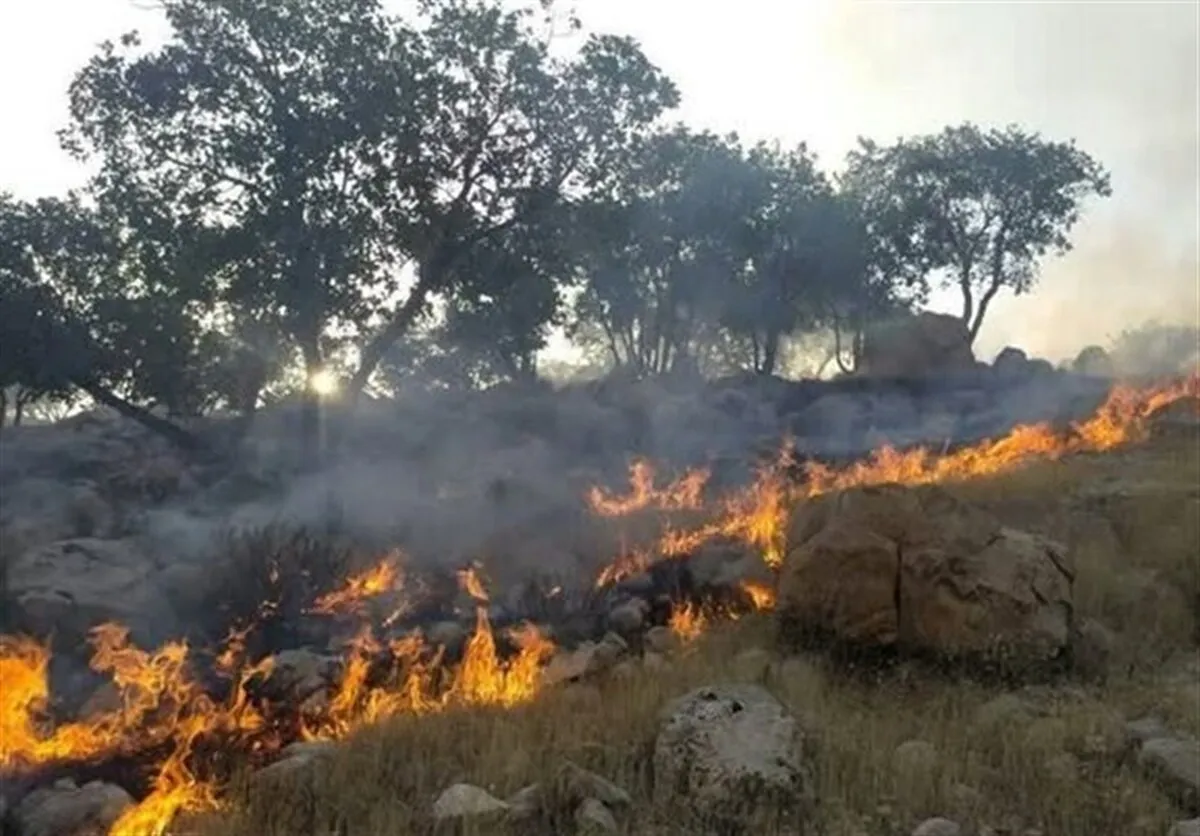 ببینید ا آتش به جان جنگل‌های بلوط کوهچنار افتاد