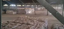  حمایت مستمر از تولید و امنیت غذایی