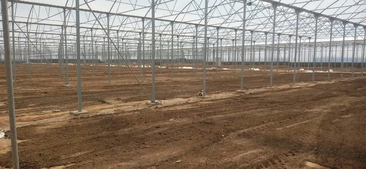 آماده‌سازی بزرگترین گلخانه مدرن یزد برای کشت پاییزه
