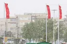 وزش باد شدید و گرد و خاک در تهران | نوسان دما طی هفته جاری