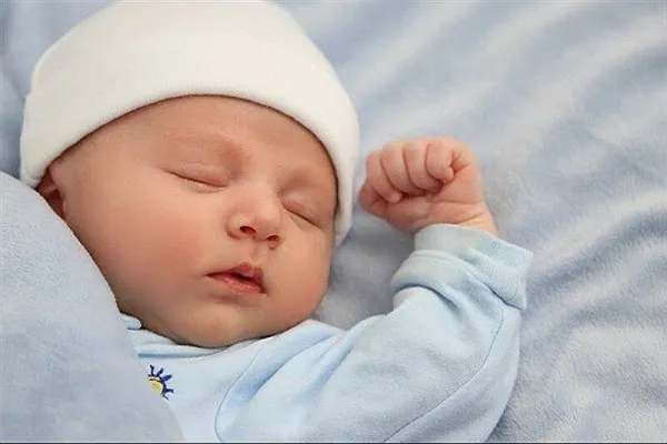 ۷۸۲ مورد نام جدید در سال گذشته تایید شد