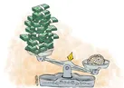 علم یا ثروت
