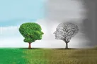 زیستن در سایه درخت