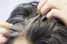 موهای خاکستری با رفع استرس به رنگ طبیعی خود بازمی‌گردند