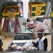 کشف و معدوم‌سازی ۲۲۸ کیلوگرم فرآورده خام دامی غیربهداشتی در یاسوج