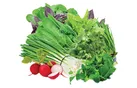 چگونه همیشه سبزی‌خوردن تازه داشته باشیم؟