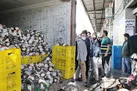 از صف مرغ تا جان آدمیزاد!