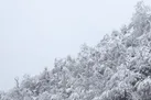 بارش نزولات جوی و وزش باد در مازندران از امروز شدت میابد