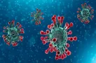 بیش از 500 هزار مبتلای جدید در یک شبانه روز