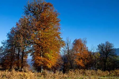 پاییز امسال، گرمتر از حالت عادی است / احتمال کاهش ۳۰ درصدی بارش‌ها