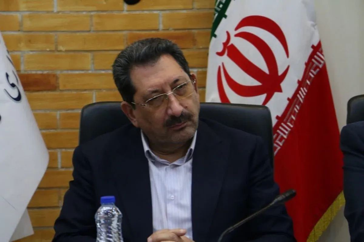 کرمان را در بحث تفویض اختیارات شورای معادن متفاوت می‌بینیم
