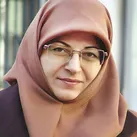 بنای تجسمی فجر برحذف مرزهاست