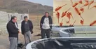 رتبه سوم آذربایجان شرقی در تولید آرتمیا