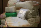 «دیوانه کویر» کشته شد