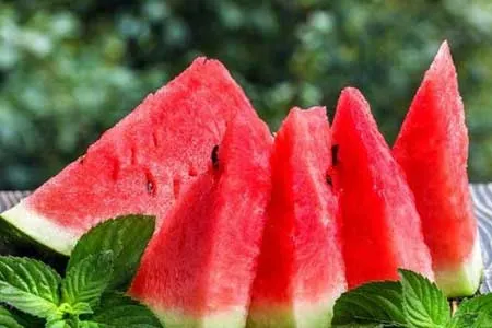 شش فایده که خوردن هندوانه به دنبال دارد