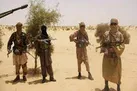 حمله تروریستی در شمال مالی 31 کشته بر جای گذاشت