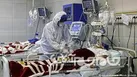 جولان کرونا در استان یزد