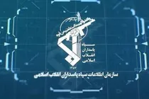 انتشار جزئیات انهدام شبکه ضد امنیتی تلفیقی در کرمان