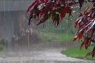 بارش برف و باران در برخی نقاط کشور / افزایش دما در نوار شمالی؛ آخر هفته