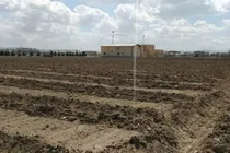 مجموع درختکاری تصفیه‌خانه فاضلاب همدان به ۵۲ هزار اصله رسید