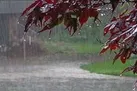 بارش های پاییزی با تاخیر آغاز می‌شود