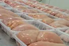 عرضه مرغ به صورت قطعه‌بندی ممنوع است