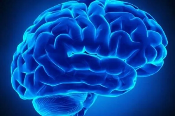حفظ روابط اجتماعی موجب افزایش ماده خاکستری مغز می شود