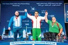 طلایی مثل سیامند