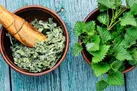 خواص این گیاه از دفع سنگ کلیه تا رفع جوش و لک پوستی