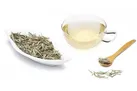 راجع به خواص چای سفید چه می دانید؟
