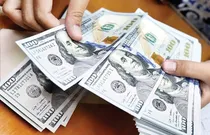بازگشت دلارهای خانگی به چرخه اقتصاد