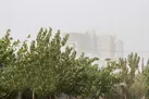 توده گرد و خاک در راه برخی مناطق کشور | بارش پراکنده باران در چند استان