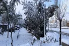 البرز برفی می‌شود