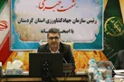 خرید تضمینی گندم مازاد کشاورزان در کردستان به بیش از 438 میلیون تن رسید