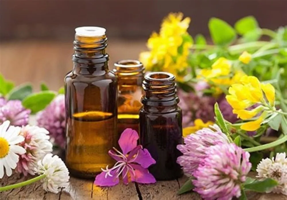 پادشاه گیاهان دارویی