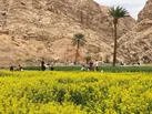 اصفهک در مسیر جهانی شدن