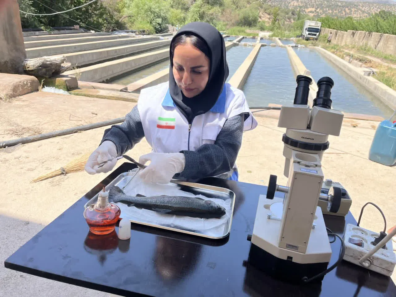بسیج امکانات دامپزشکی کهگیلویه و بویراحمد برای ارتقای سلامت آبزیان / ضرورت ارتقای دانش فنی فعالین بخش آبزی پروری