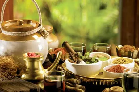 انواع دمنوش‌ های گیاهی برای سلامتی و افزایش انرژی