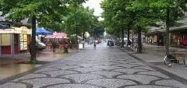 محدوده میدان آزادی تا میدان فردوسی قابلیت اجرای “پیاده‌راه” دارد/ این پروژه به نفع صنوف است