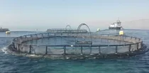بهره برداری از ۱۰ طرح شیلاتی در هرمزگان