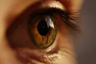 پیش‌ بینی پوکی استخوان از شبکیه چشم