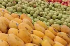 کاهش قیمت ۸ قلم میوه و صیفی در میادین میوه و تره بار تهران
