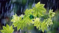 رگبارهای اردیبهشتی به آسمان مازندران رسید
