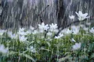 محورهای مواصلاتی استان لغزنده هستند/ رانندگان احتیاط کنند